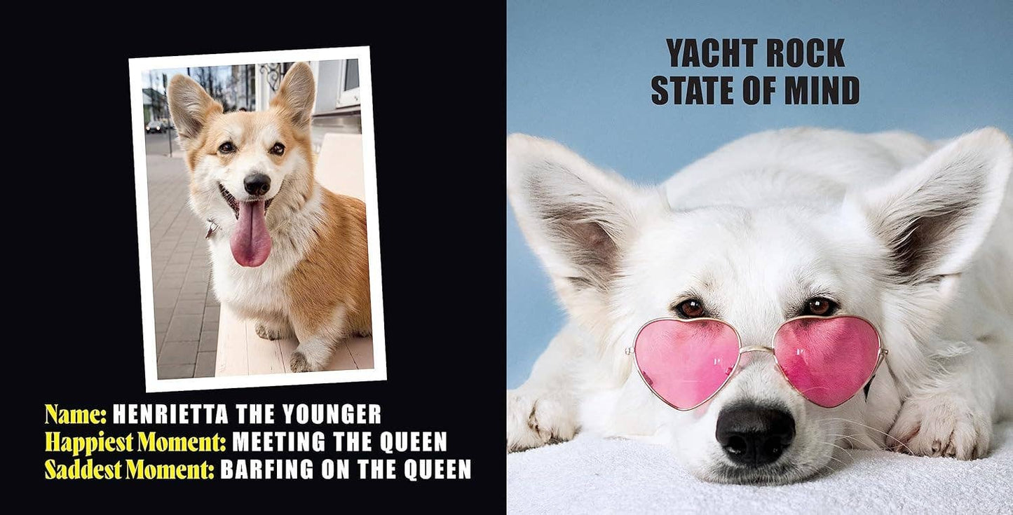 No Thoughts Just Corgis: A Compendium of Cuteness