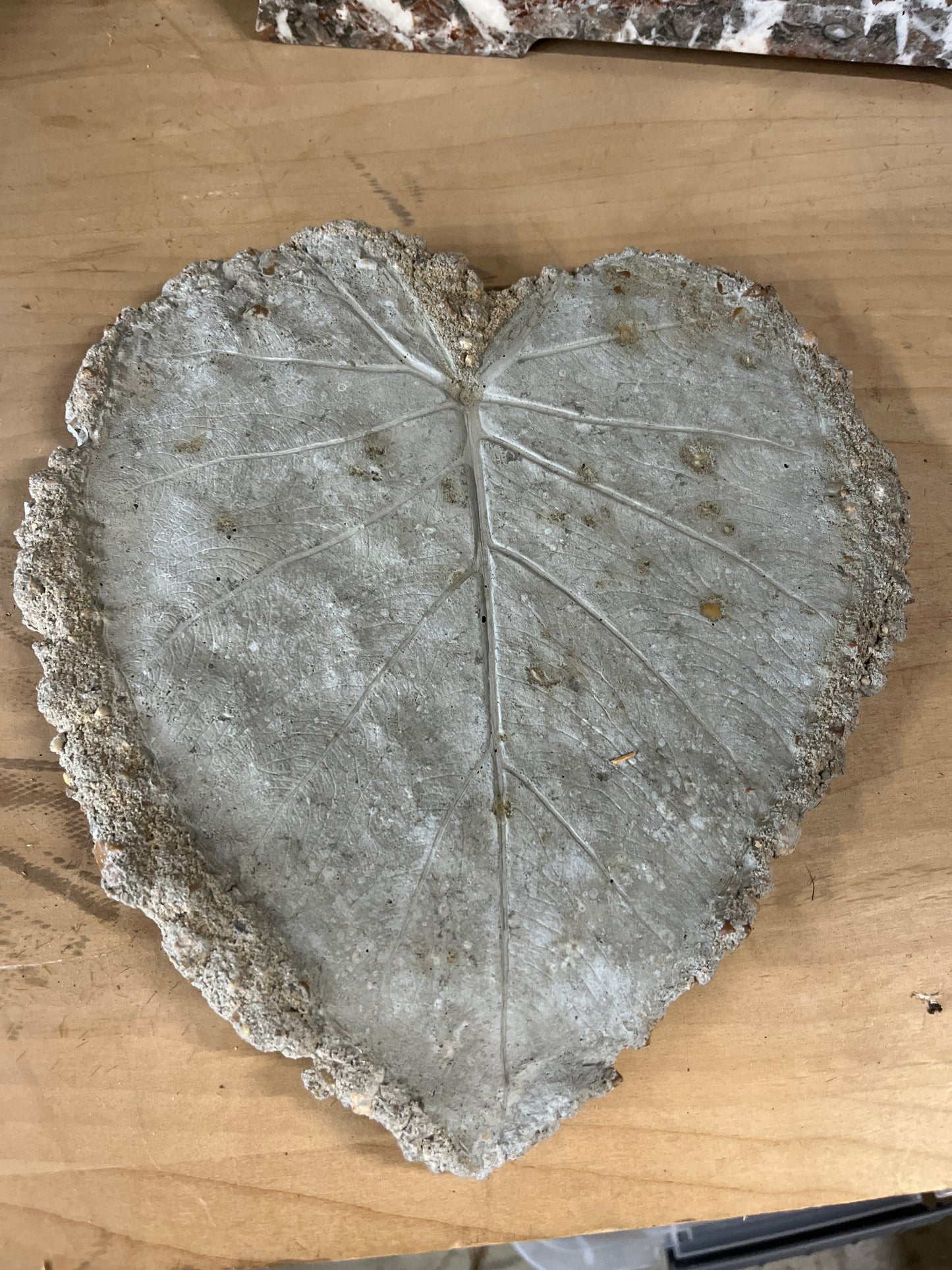 CONCRETE LEAVES - SMALL
