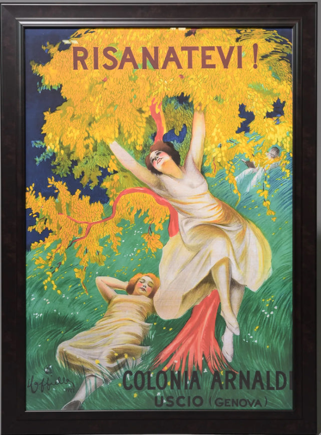 Framed Risanatevi Poster 33x45h