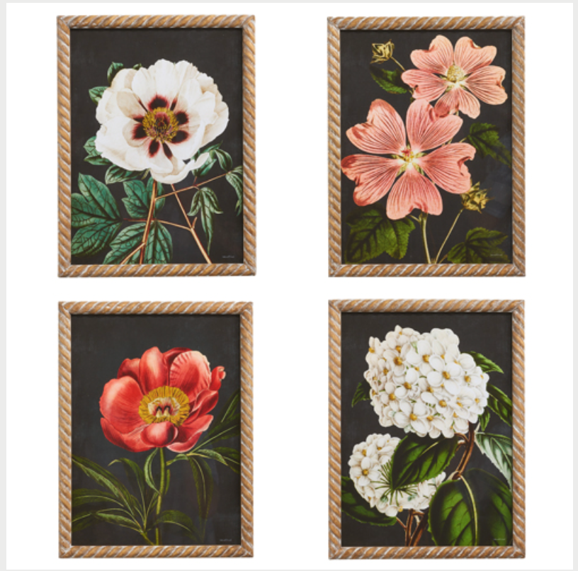Floral Framed Prints 18"h