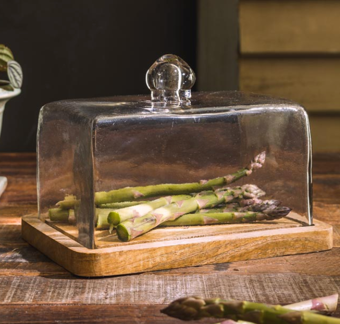 Square Plate w/ Glass Cover