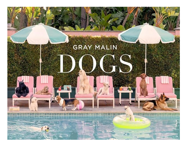 Gray Malin: Dogs