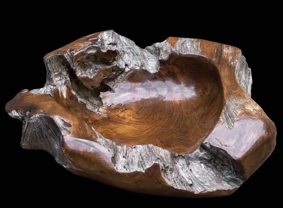 Giulio Teak Bowl 20x8"h