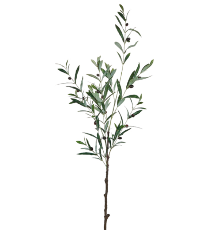 48.5" Olive Leaf Branch