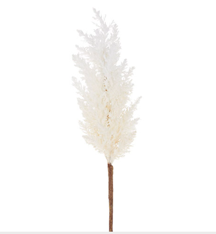 32" Pampas Grass Stem