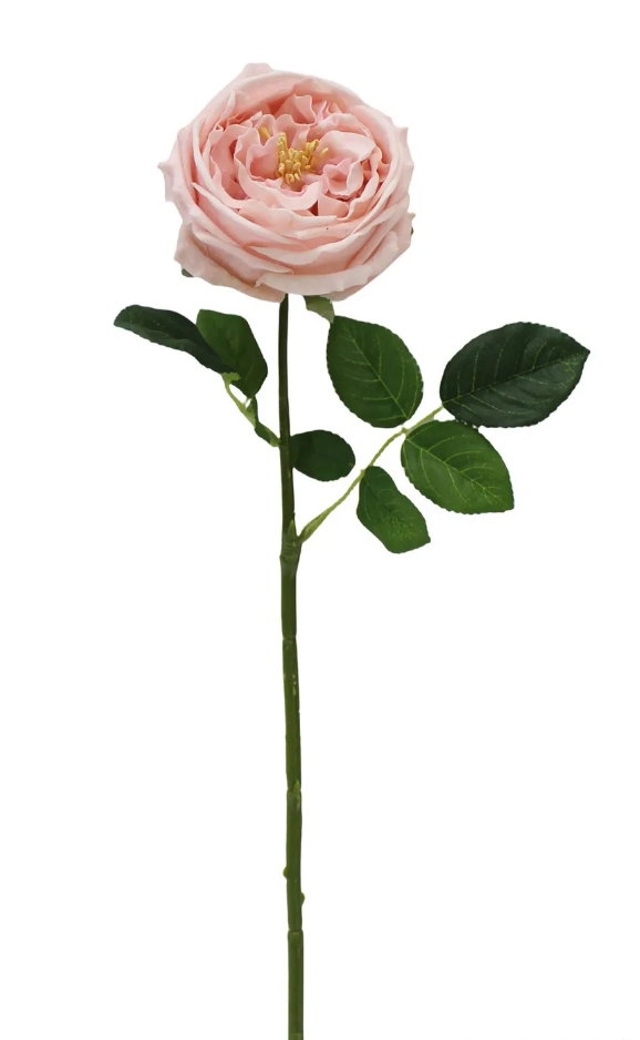Austin Rose - Pink 17"