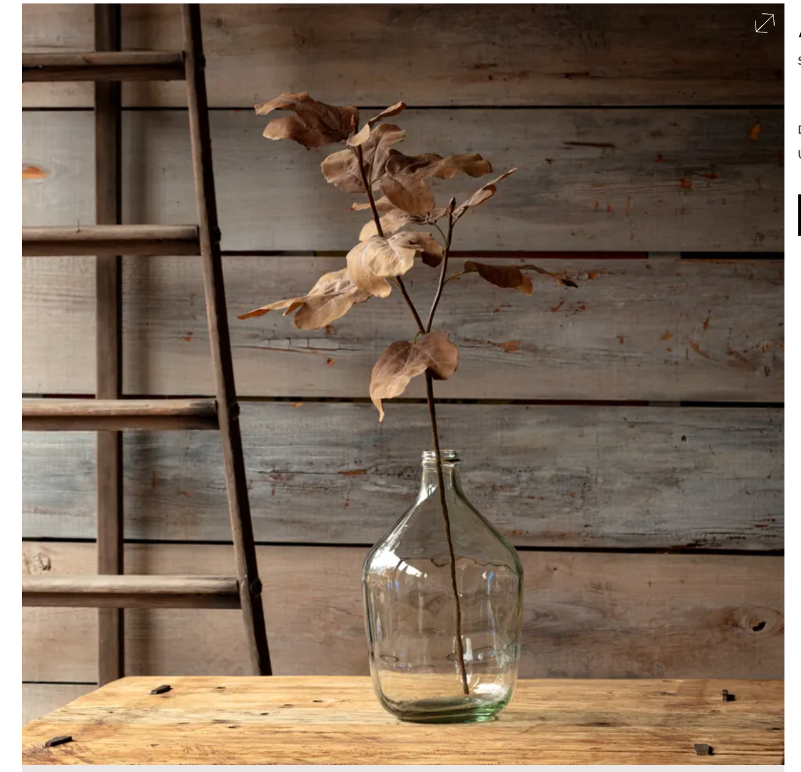 Autumn Fig Leaf Gold 39.8"h