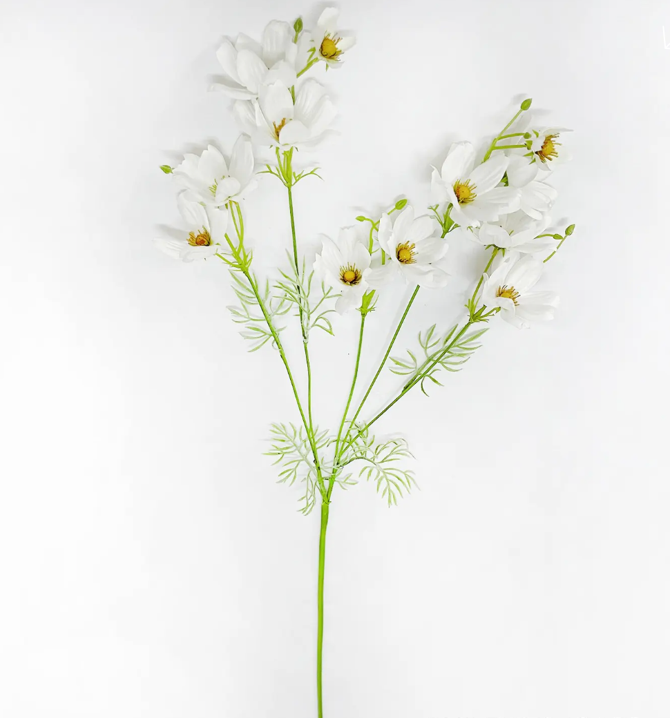 White Cosmos Stem 45"h