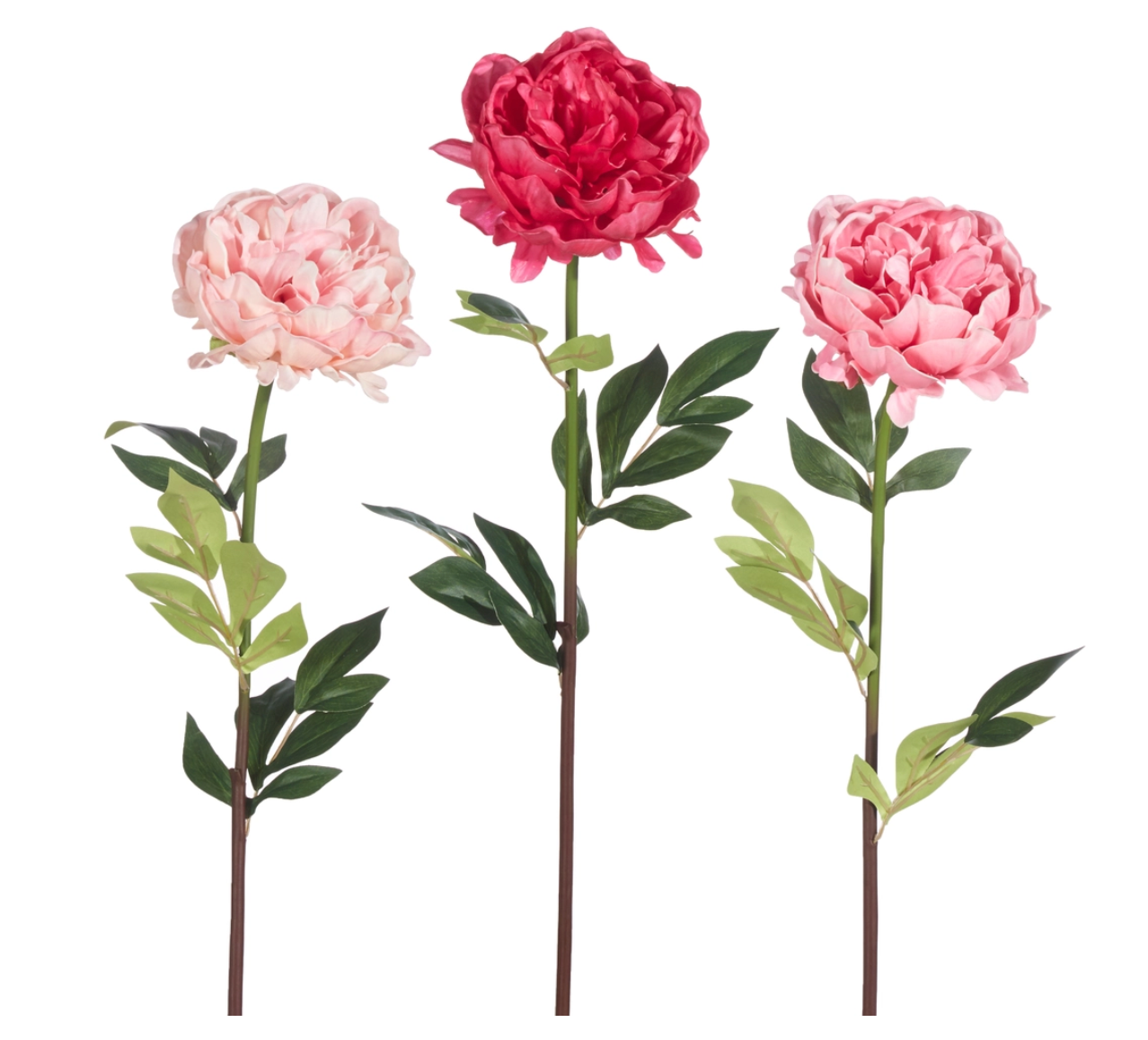 25" Real Touch Peony Stem