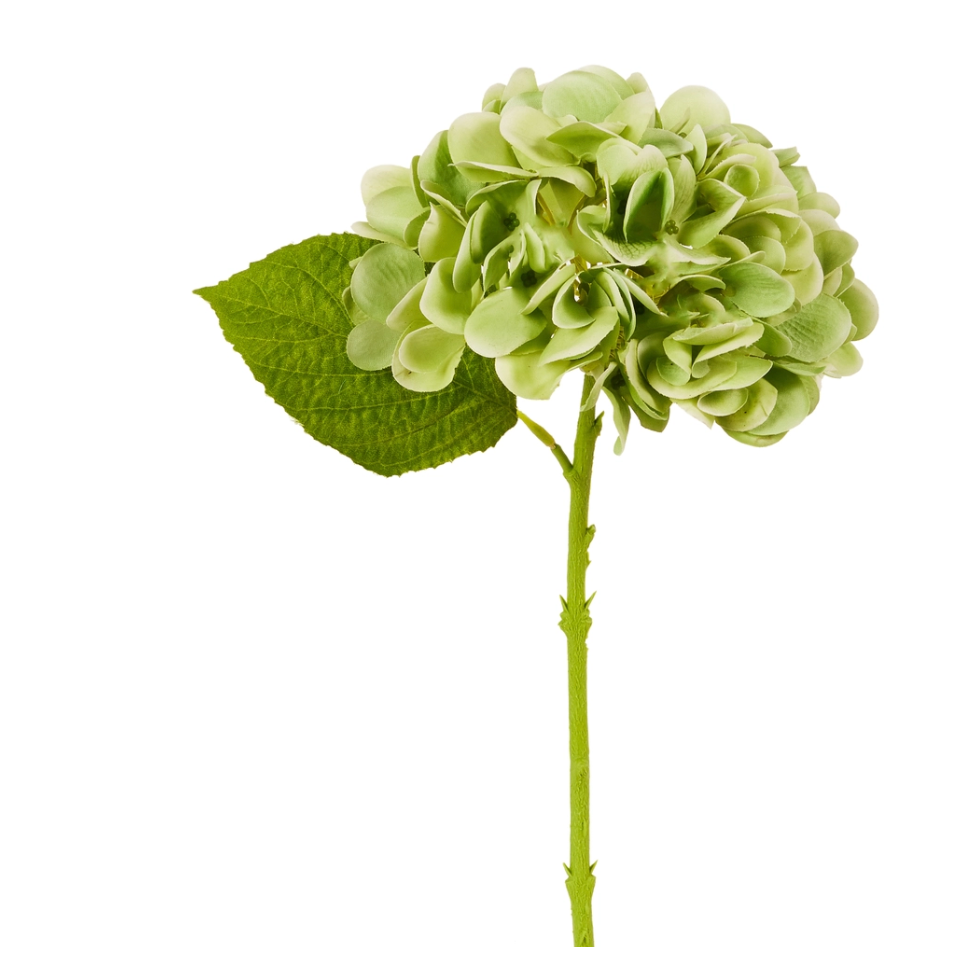 13" Real Tch Green Hydrangea