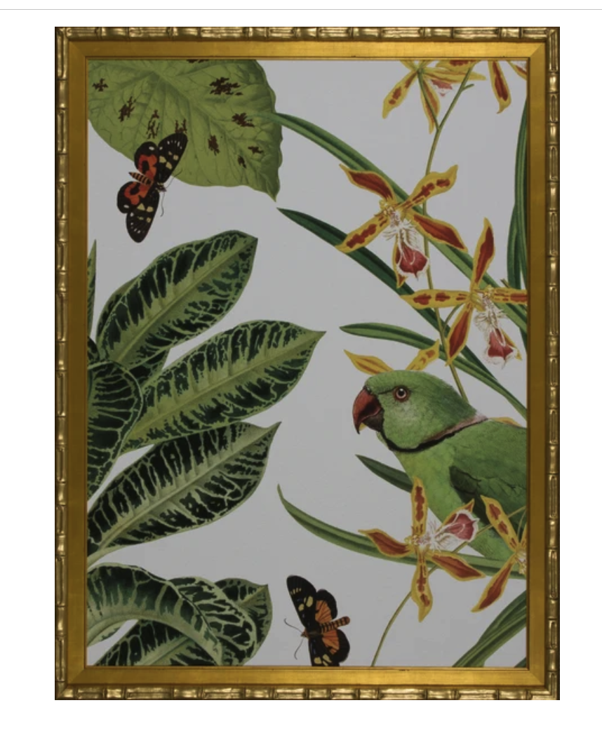Nature Flora 34x44"h