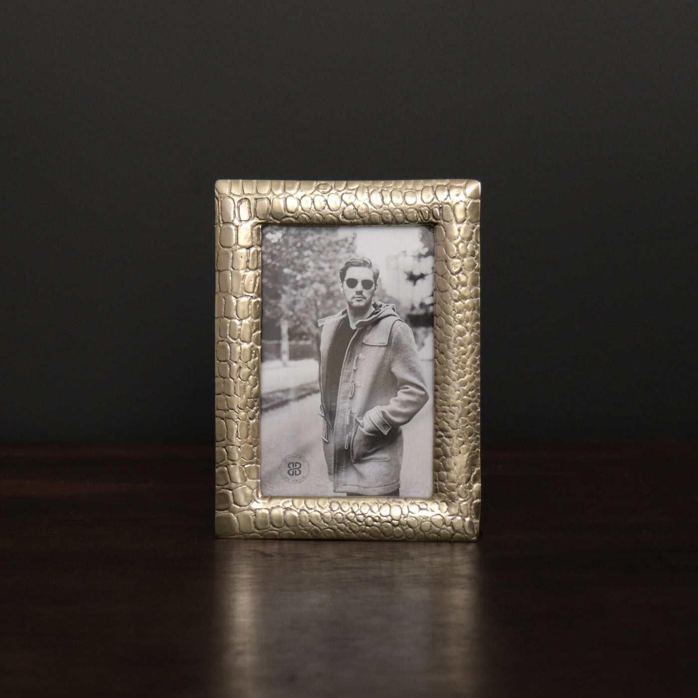 Sierra Mod Croc Frame 4x6/Gold