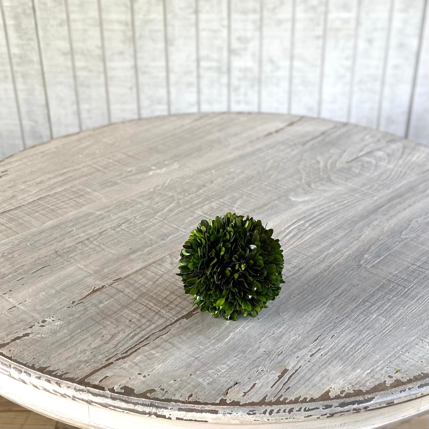 Preserved Boxwood Ball 6"