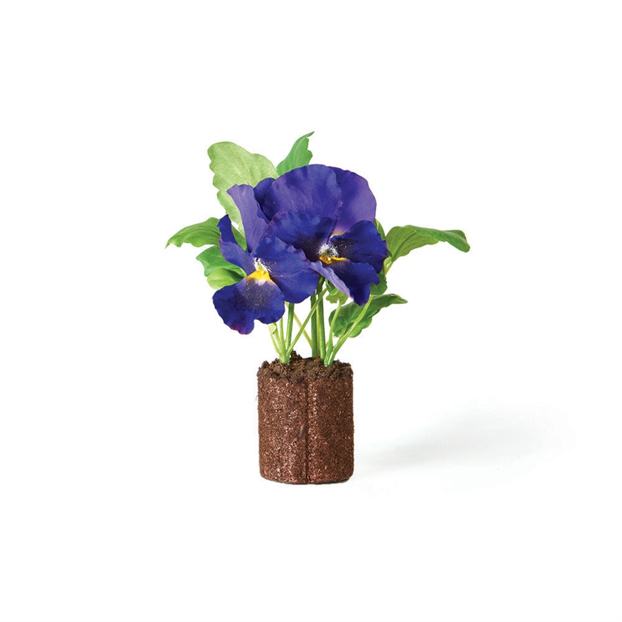 Pansy 6.5" Drop In PR