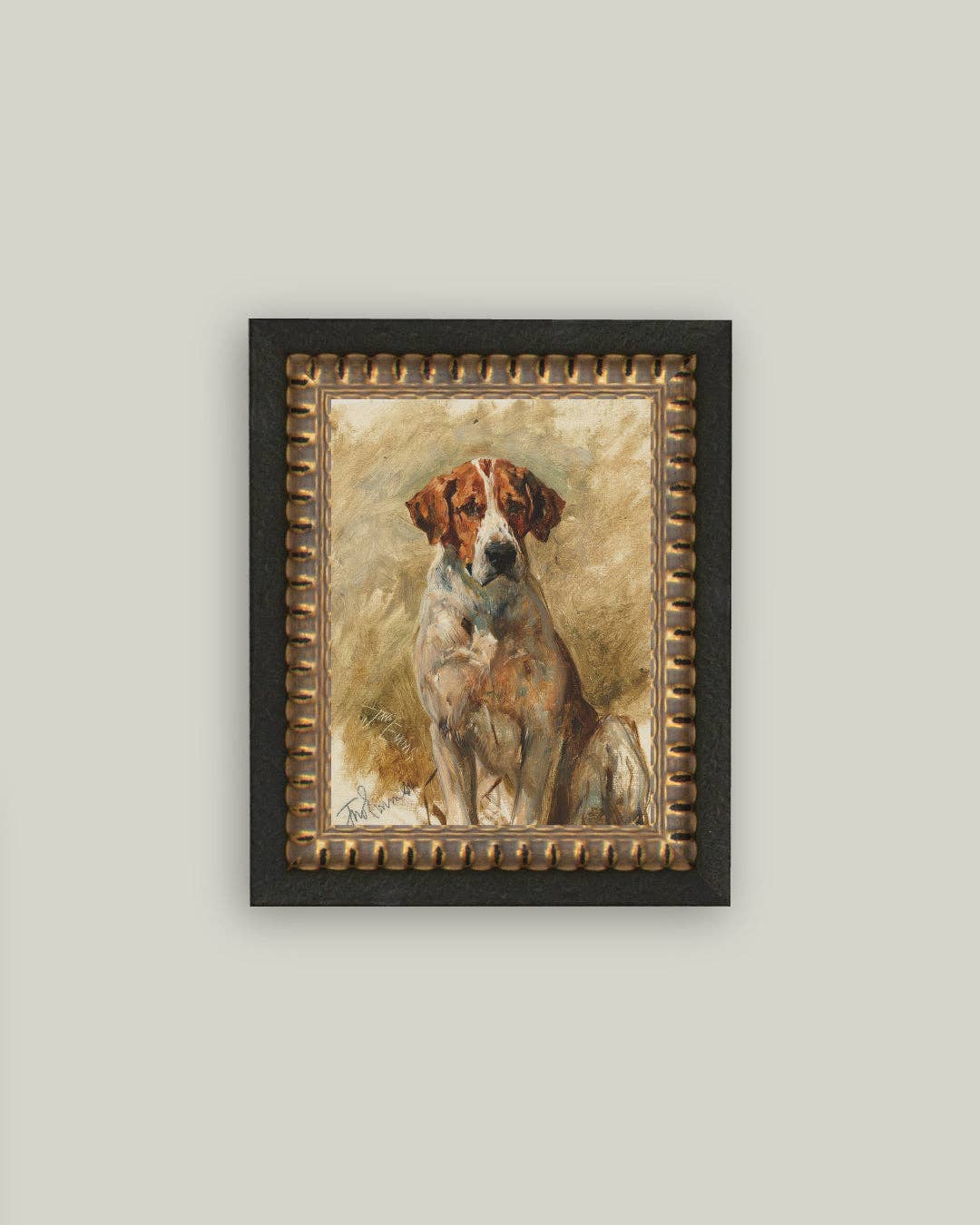 Study of a Hound Framed Art: 5x7