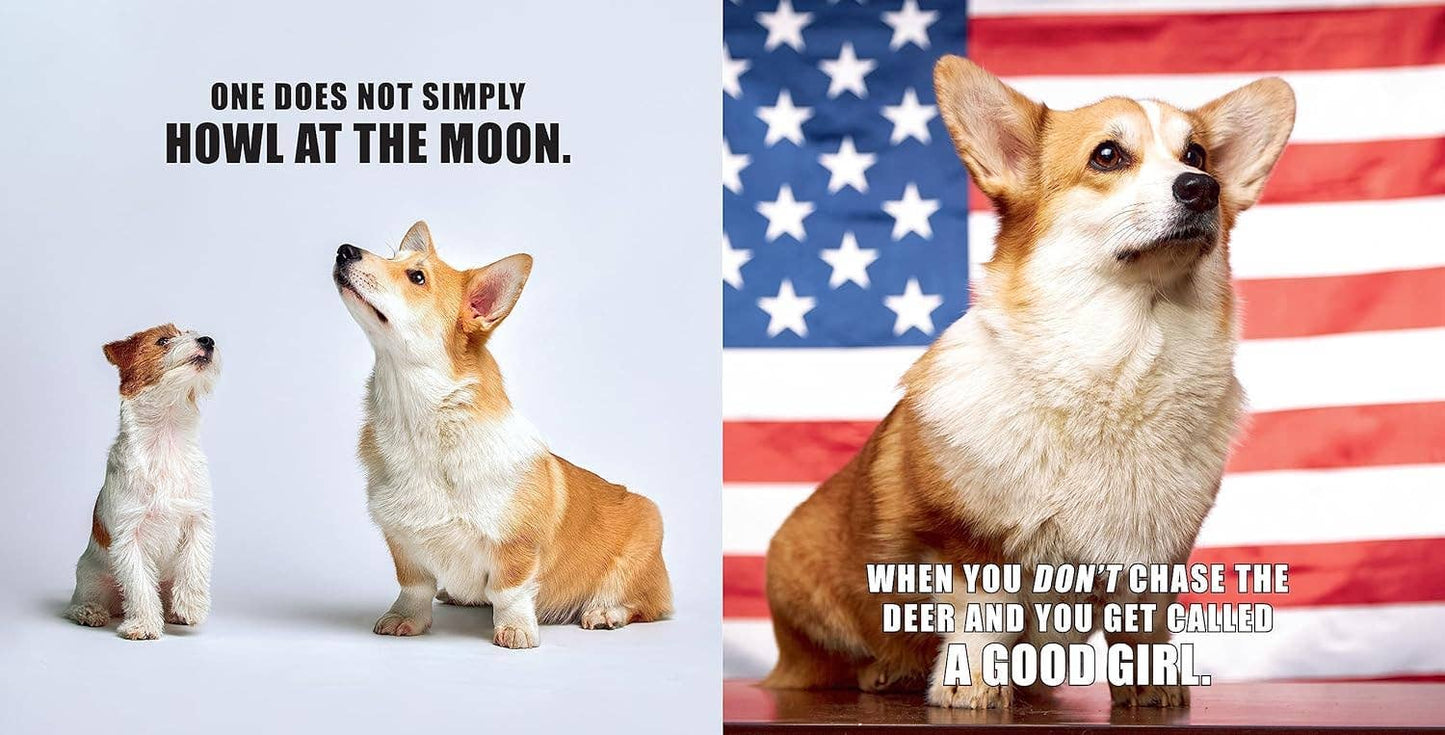 No Thoughts Just Corgis: A Compendium of Cuteness