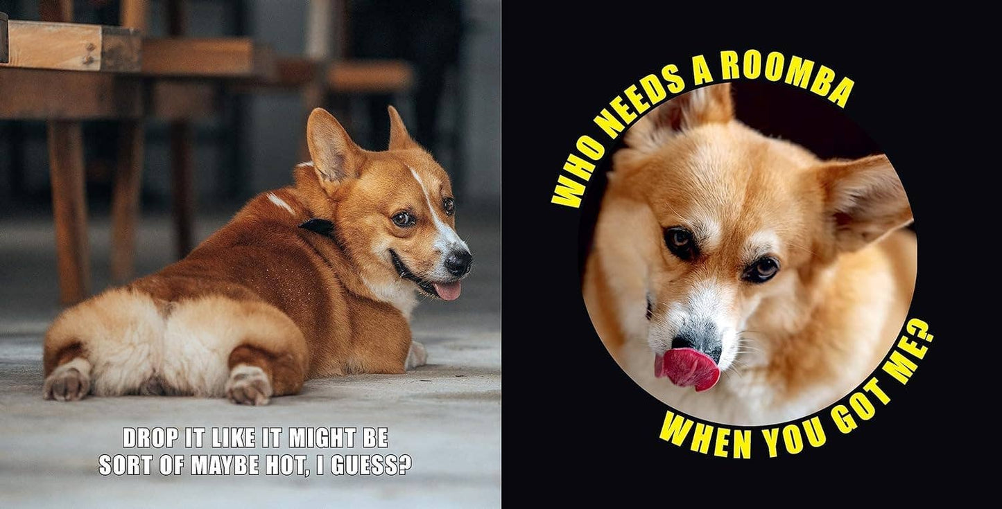 No Thoughts Just Corgis: A Compendium of Cuteness