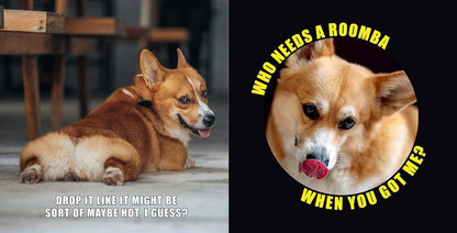 No Thoughts Just Corgis: A Compendium of Cuteness