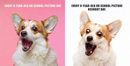 No Thoughts Just Corgis: A Compendium of Cuteness