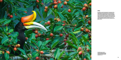 Bird Planet