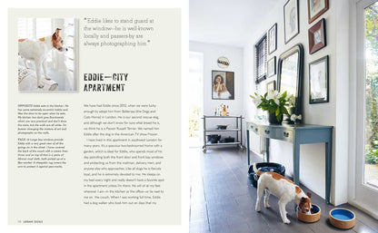 Cool Dogs, Cool Homes by Geraldine James: Hardcover; 176 pages / English