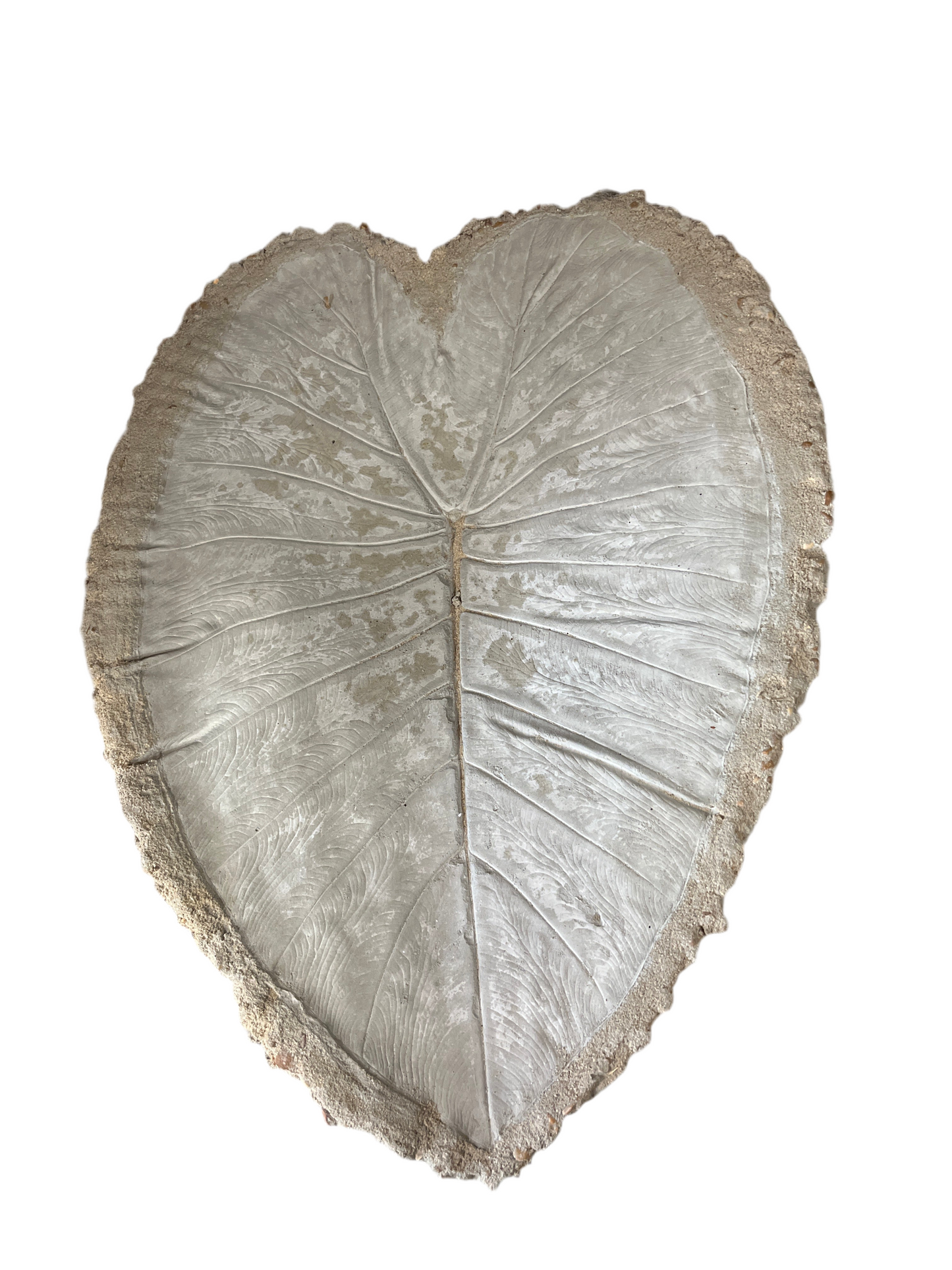 LARGE CONCRETE LEAF