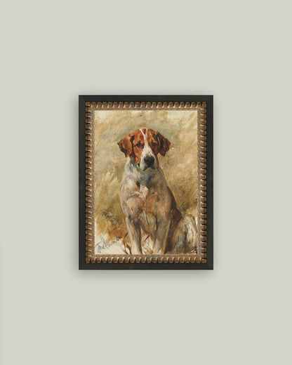 Study of a Hound Framed Art: 5x7