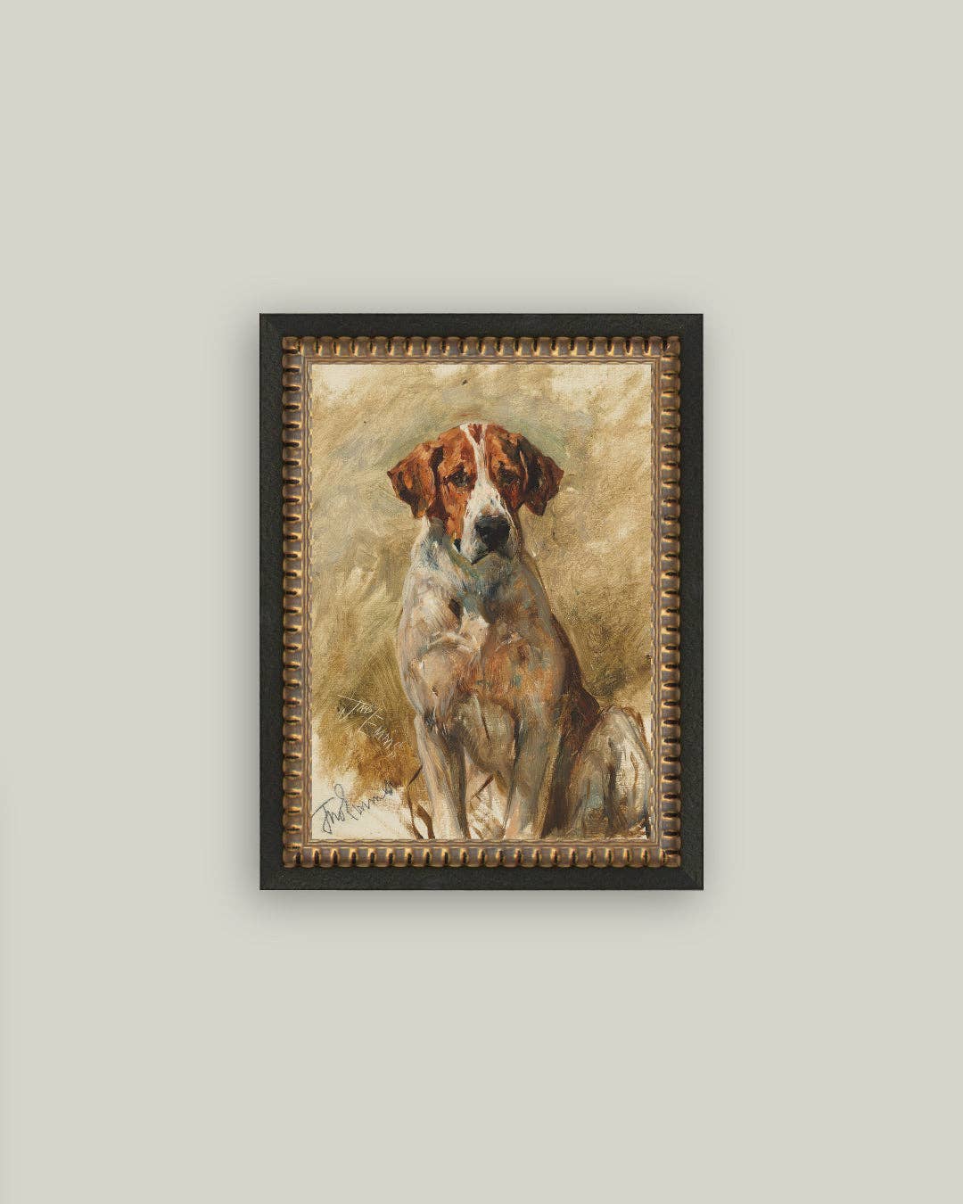 Study of a Hound Framed Art: 8x10