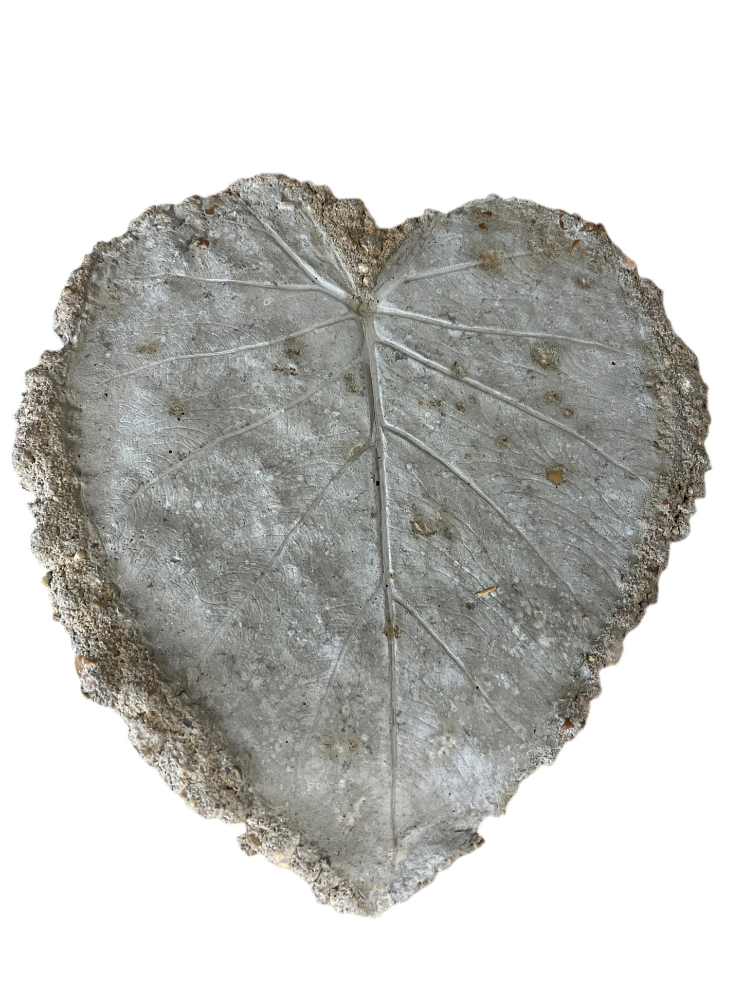 CONCRETE LEAVES - SMALL