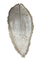 LARGE CONCRETE LEAF
