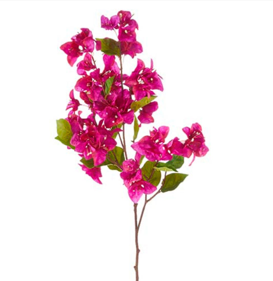 Bougainvillea  Spray 38”