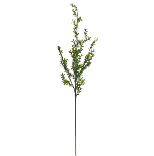36” Mini Boxwood Spray