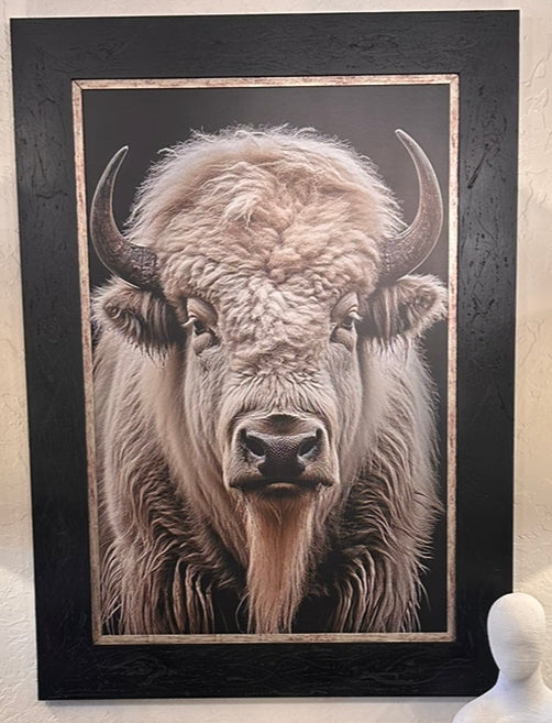 White Buffalo Print in Custom Frame