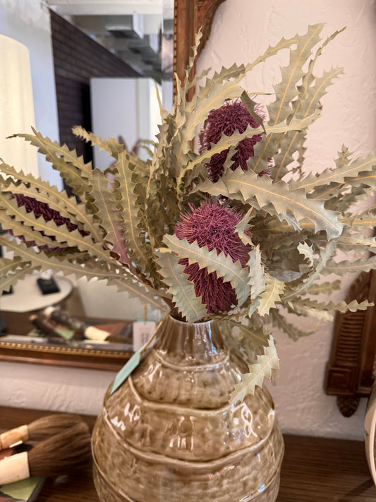 Dried Protea - Lavendar