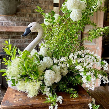 Swan Container
