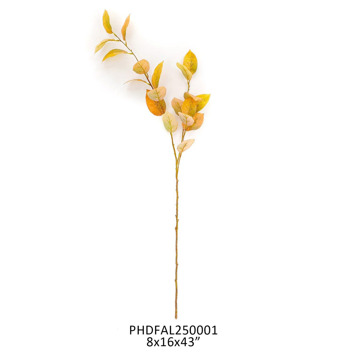 Amber Salal Leaf Stem