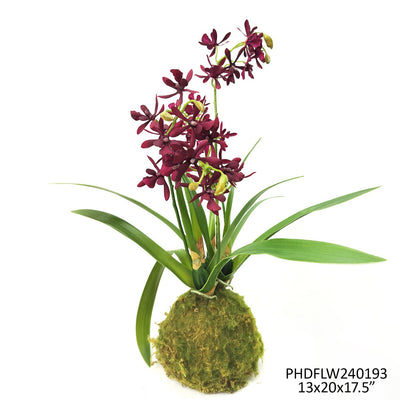 Maroon Mini Orchid Large Moss Ball