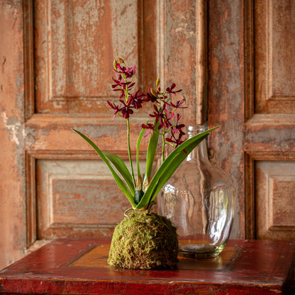Maroon Mini Orchid Small Moss Ball