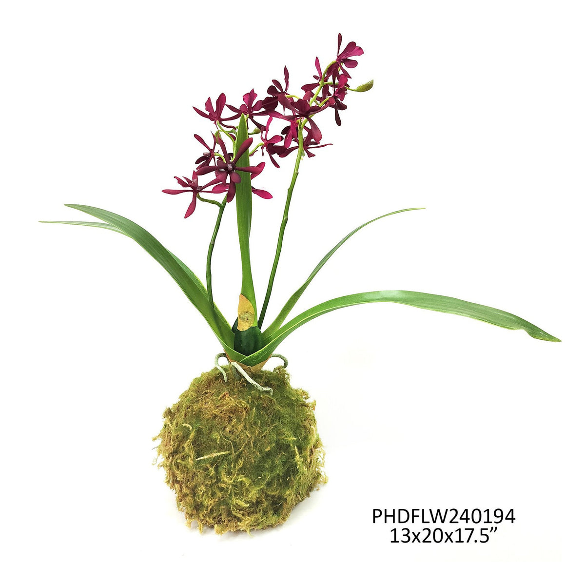 Maroon Mini Orchid Small Moss Ball