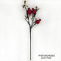 #5 Burnished Pomegranate Branch Ruby