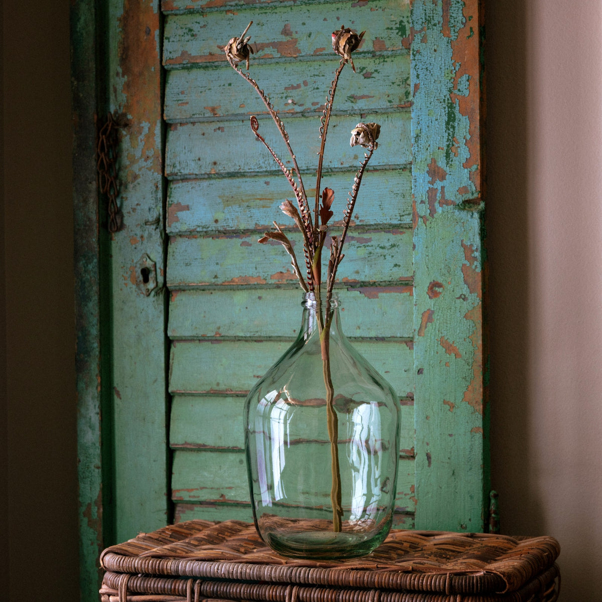 Fiddle Fern Stem Brown
