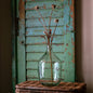 Fiddle Fern Stem Brown