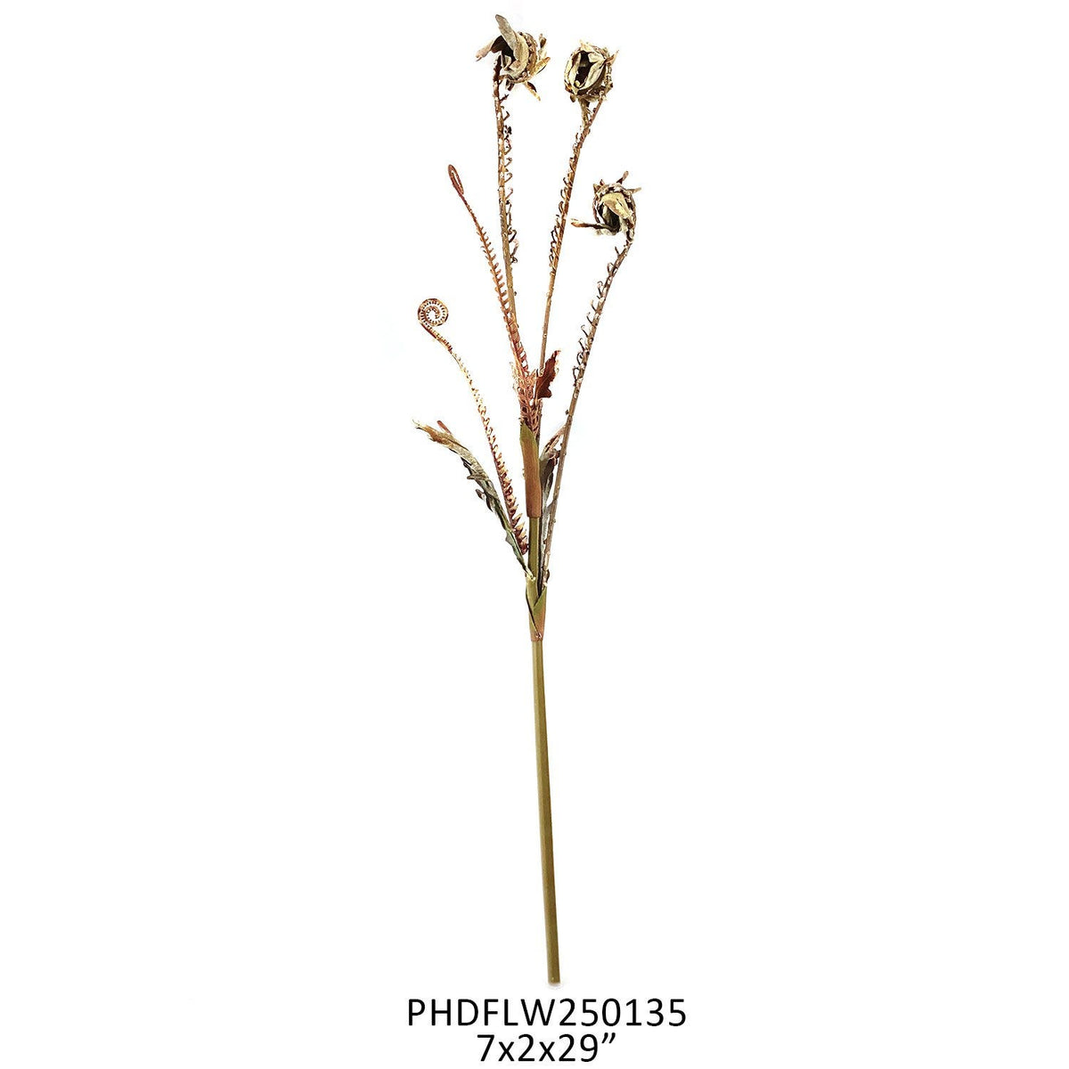Fiddle Fern Stem Brown