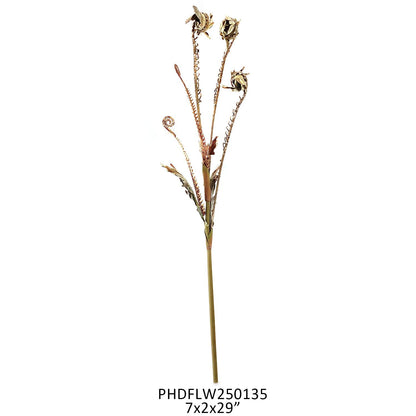 Fiddle Fern Stem Brown