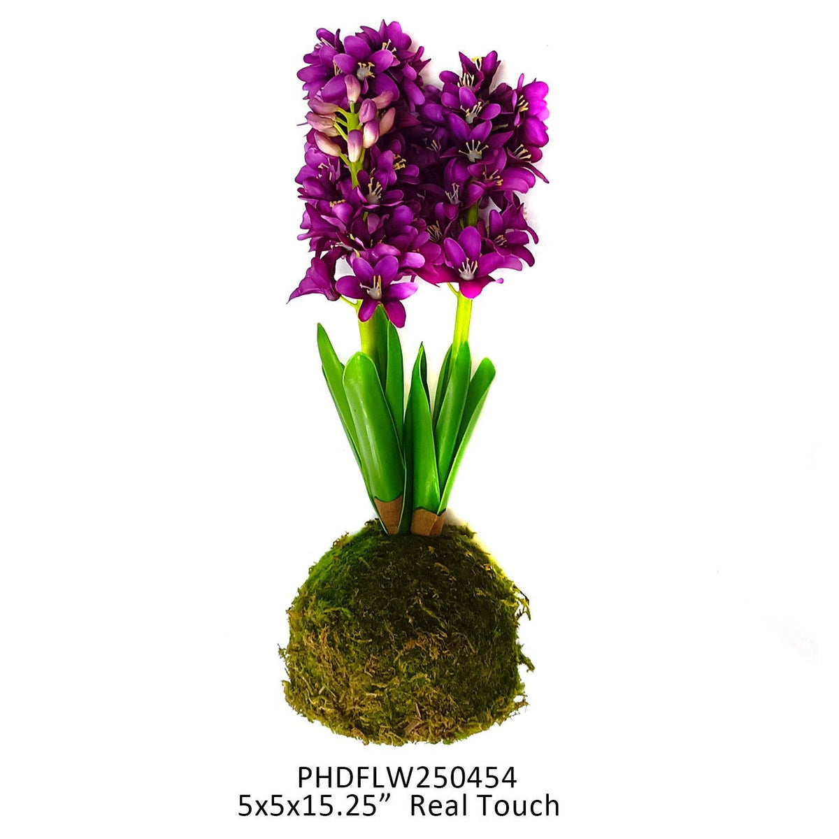 Violet Hyacinth in Moss Ball