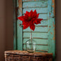 Ruby Red Velvet Touch Poinsettia Stem