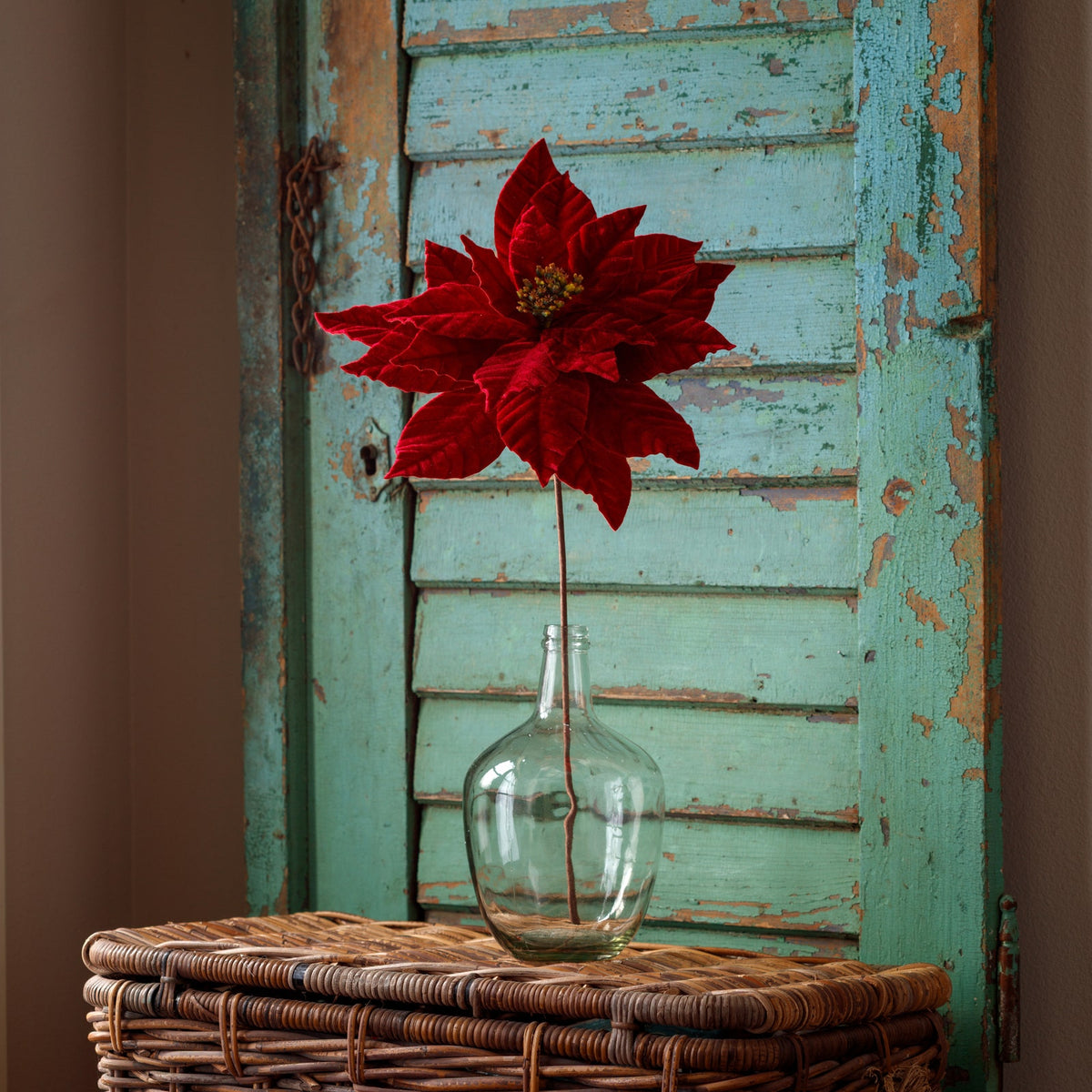 Crimson Velvet Touch Poinsettia Stem