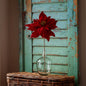 Crimson Velvet Touch Poinsettia Stem