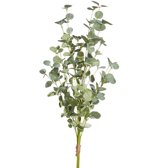 35" Eucalyptus Bundle