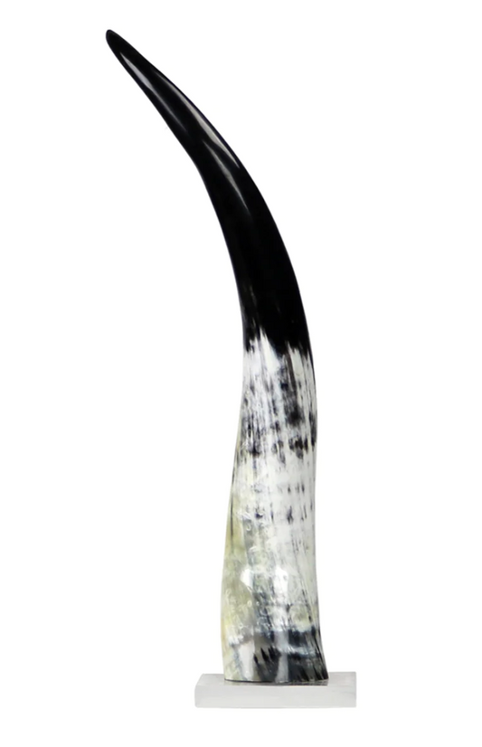 Black and White Cow Horn on Base Med 21"